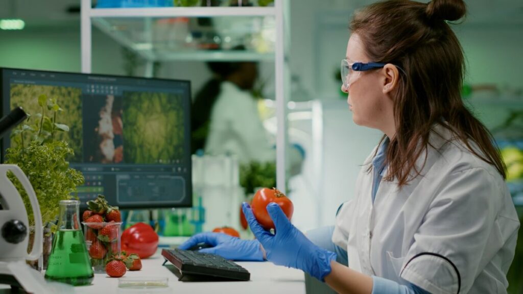 food temperature probe